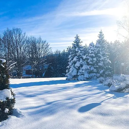 Апартаменты Zova Deluxe Златибор