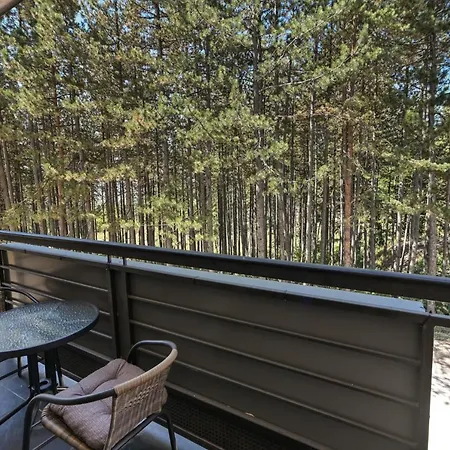 Zova Deluxe Апартаменты Златибор