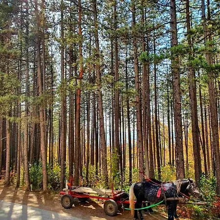 Zova Deluxe Zlatibor