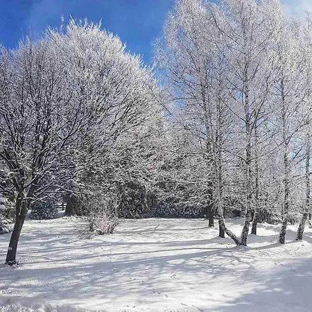 Zova Deluxe * Zlatibor