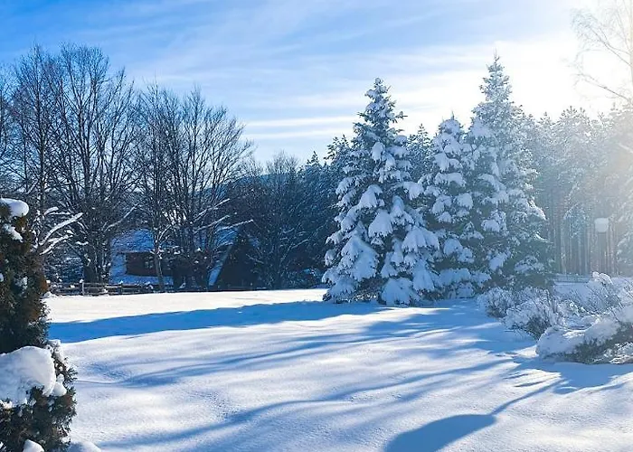 Apartament Zova Deluxe Zlatibor